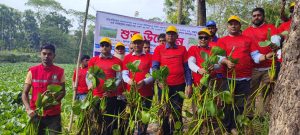 ভাণ্ডারিয়ায় স্বেচ্ছাশ্রমে ডেঙ্গু প্রতিরোধ সচেতনতায় খালের কচুরিপানা অপসারণ