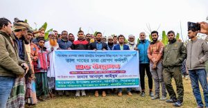 মঠবাড়িয়ায় রাস্তার দুই পাশে তালের চারা রোপণ